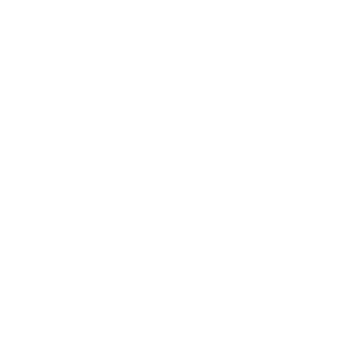 The YOLO Project